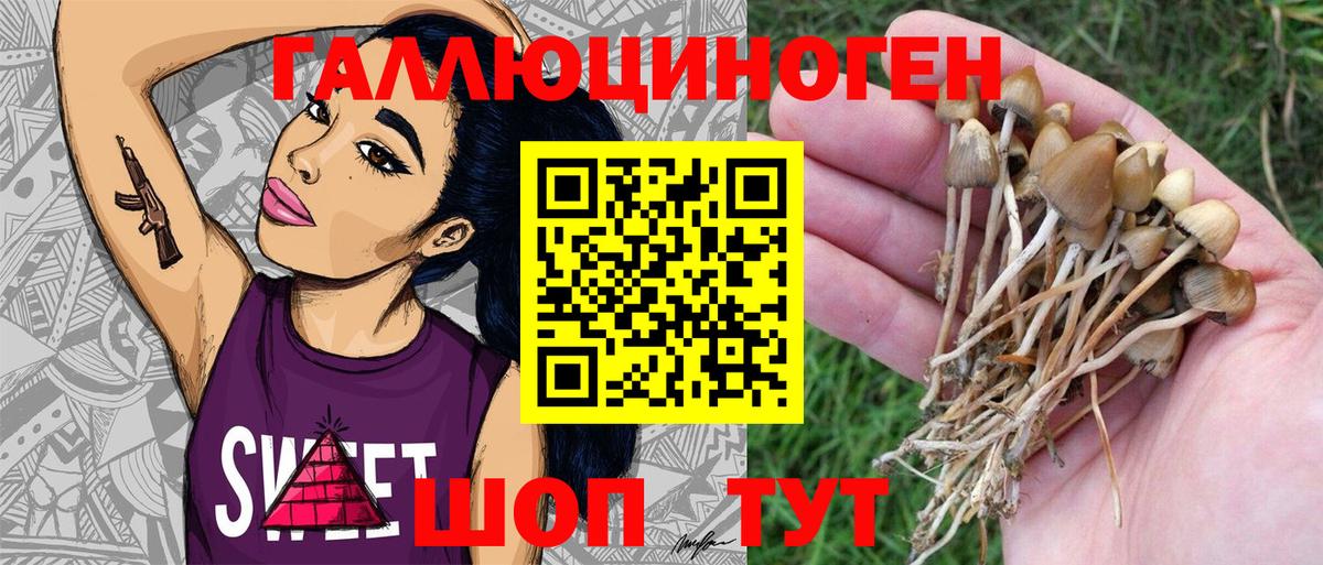 Ачинск  Псилоцибиновые грибы Psilocybe  Вход с VPN  закладки  Псилоцибиновые грибы мухоморы 